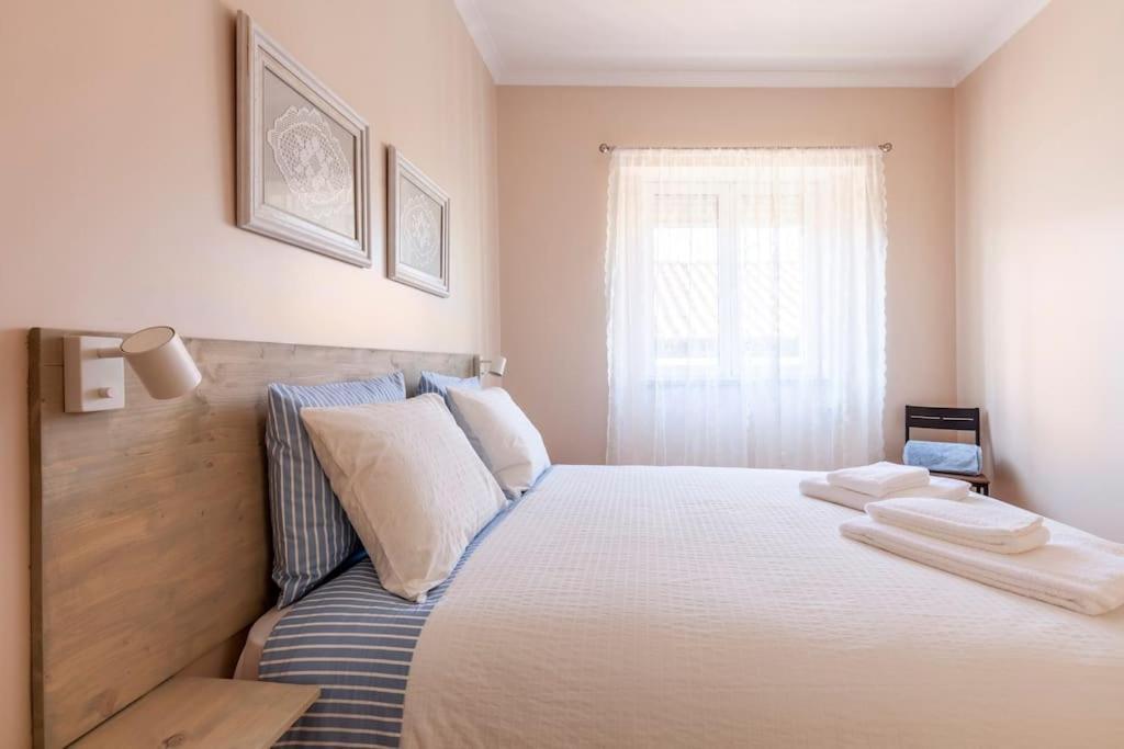 Charming 120M² In Historic Center Διαμέρισμα Lamego Εξωτερικό φωτογραφία
